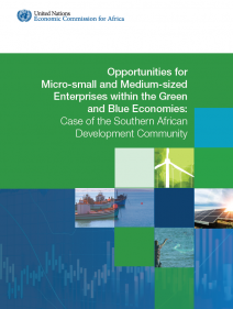 Opportunities for Micro-small and Medium-sized enterprises within the Green and blue economies