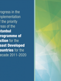Progress in the implementation of the priority areas of the Istanbul Programme of Action for the least Developed Countries for the Decade 2011–2020