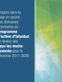 Progrès dans la mise en oeuvre des domaines prioritaires du programme d'action d’Istanbul en faveur des pays les moins avancés pour la décennie 2011-2020