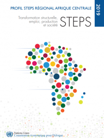 Transformation structurelle, emploi, production et société (STEPS): profil STEPS régional Afrique centrale