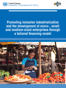 Promoting inclusive industrialization and the development of micro, small and medium-sized enterprises through a tailored financing mode
