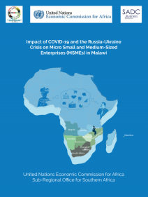 Impact of COVID-19 and the Russia-Ukraine Crisis on Micro Small and Medium-Sized Enterprises (MSMEs) in Malawi