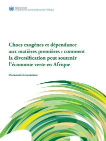 Chocs exogènes et dépendance aux matières premières: comment la diversification peut soutenir l’économie verte en Afrique: document d’orientation