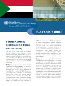 Foreign Currency Mobilization in Sudan : Executive Summary