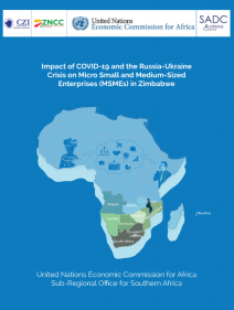 Impact of COVID-19 and the Russia-Ukraine crisis on micro small and medium-sized enterprises (MSMEs) in Zimbabwe