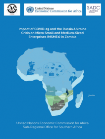 Impact of COVID-19 and the Russia-Ukraine crisis on micro small and medium-sized enterprises (MSMEs) in Zambia