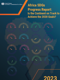 Africa SDGs Progress Report