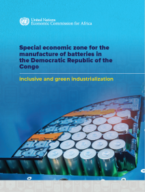 Special economic zone for the manufacture of batteries in the Democratic Republic of the Congo: Inclusive and green industrialization