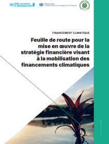 Feuille de route pour la mise en œuvre de la stratégie financière visant à la mobilisation des financements climatiques