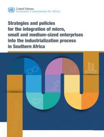 Strategies and policies for the integration of micro, small and medium-sized enterprises into the industrialization process in Southern Africa