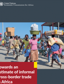 Towards an estimate of informal cross-border trade in Africa