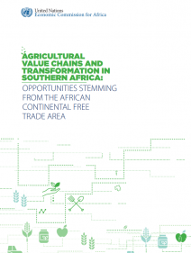 Agricultural Value Chains and Transformation in Southern Africa