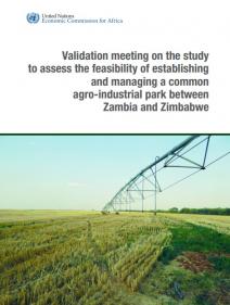 common agro-industrial park between Zambia and Zimbabwe