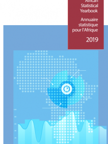 African statistical year book 2019