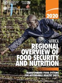 African regional overview of food security and nutrition 2020: transforming food systems for affordable health diets