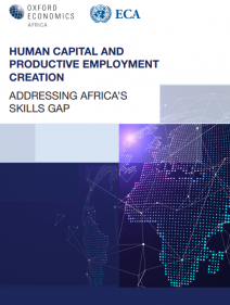 Human capital and productive employment creation: addressing Africa’s skills gap