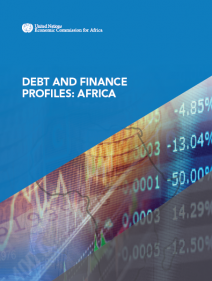 Debt and Finance Profiles: Africa