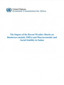 The impact of the recent weather shocks on businesses (mainly SMEs) and macroeconomic and social stability in Sudan