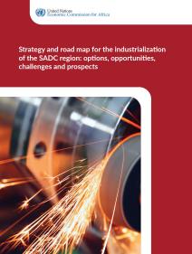 Strategy and road map for the industrialization of the SADC region: options, opportunities, challenges and prospects