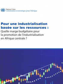 Pour industrialisation basée sur les ressources : Quelle marge budgétaire pour la promotion de l’industrialisation en Afrique centrale ?