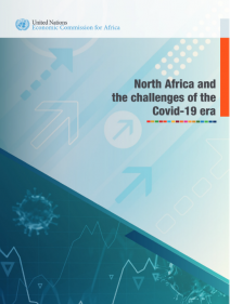 North Africa and the challenges of the Covid-19 era