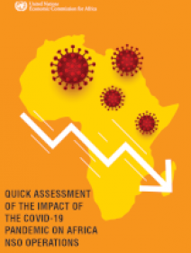 Quick Assessment of the Impact of the COVID-19 Pandemic on Africa National Statistical Offices Operations