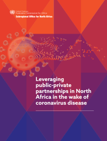 Leveraging public-private partnerships in North Africa in the wake of coronavirus disease