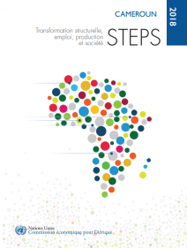 Transformation structurelle, emploi, production et société - STEPS Cameroun 2018