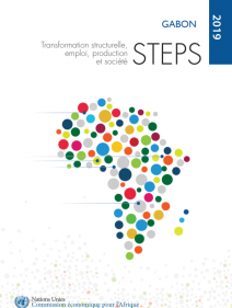 Transformation structurelle, emploi, production et société (STEPS): Gabon 2019