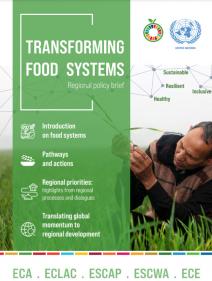 Transforming food systems: regional policy brief