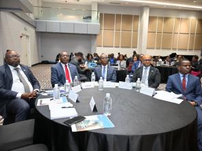 Meeting between the ECA and the Government of Botswana - January 2025