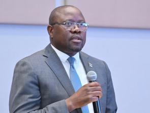 Meeting between the ECA and the Government of Botswana - January 2025