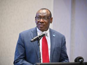 Meeting between the ECA and the Government of Botswana - January 2025