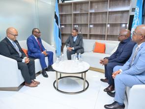 Meeting with Botswana’s Cabinet led by President Duma Boko