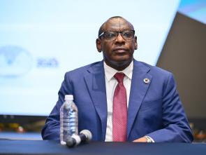 Meeting with Botswana’s Cabinet led by President Duma Boko