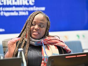 Douzième session du Forum régional africain pour le développement durable (FRADD 12)