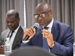 Meeting between the ECA and the Government of Botswana - January 2025