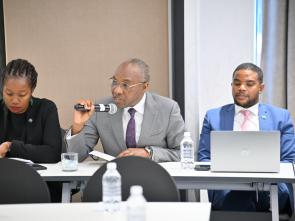 Meeting between the ECA and the Government of Botswana - January 2025