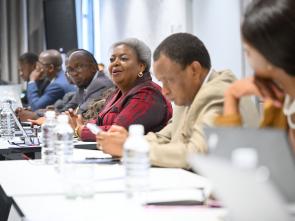 Meeting between the ECA and the Government of Botswana - January 2025