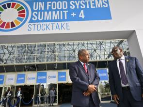 UN Food Systems Summit +4 Stocktake (UNFSS+4) - 29 July 2025
