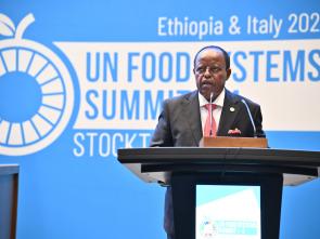 UN Food Systems Summit +4 Stocktake (UNFSS+4) - 29 July 2025