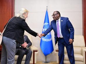 Bilateral meetings of the Executive Secretary during the AU Summit (February 2024)