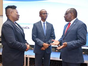 Meeting between the ECA and the Government of Botswana - January 2025
