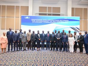 Meeting between the ECA and the Government of Botswana - January 2025
