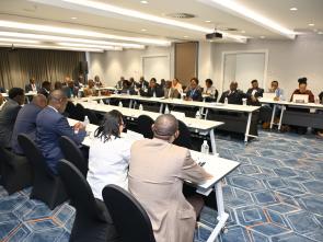 Meeting between the ECA and the Government of Botswana - January 2025