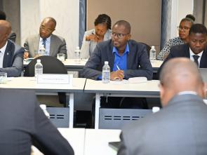 Meeting between the ECA and the Government of Botswana - January 2025