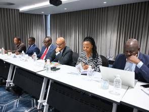 Meeting between the ECA and the Government of Botswana - January 2025