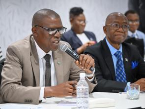 Meeting between the ECA and the Government of Botswana - January 2025