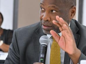 Meeting between the ECA and the Government of Botswana - January 2025