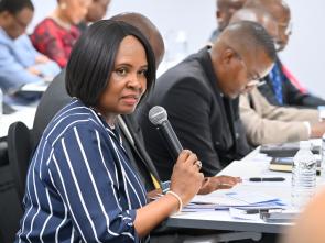 Meeting between the ECA and the Government of Botswana - January 2025